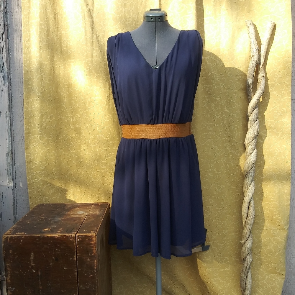 Charlotte Russe Dark Blue And Brown Mini Dress